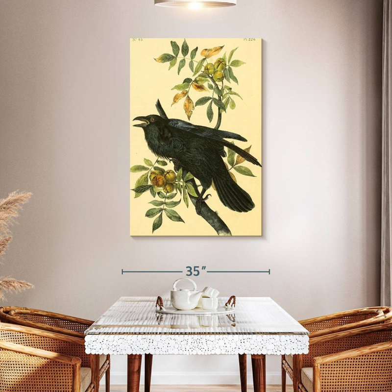 Grand corbeau des oiseaux d'Amérique, H 48 po x l 32 po