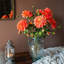 Tige de dahlia-1377937018
