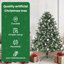 Artificial Christmas Tree with Stand-766900975-766900967