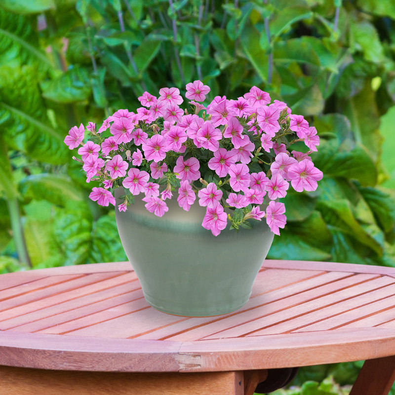 Berlina Round Imperial Ceramic Outdoor Planter, Seafoam, 15" H x 18.5" W x 18.5" D