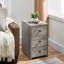 Gaye 30cm Wide 3 -Drawer File Cabinet-443383780