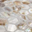 Conchella 11-1/2" x 11-5/8" Natural Shell Mosaic Wall Tile