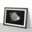 A White Rose in Abstract - Framed Print-55629449-55629454