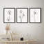 Ensemble de reproductions d'art encadrées, Windy Duotone Dandelion Plant Silhouettes-116539013-116539012