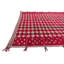 Tapis rouge Iraheta
