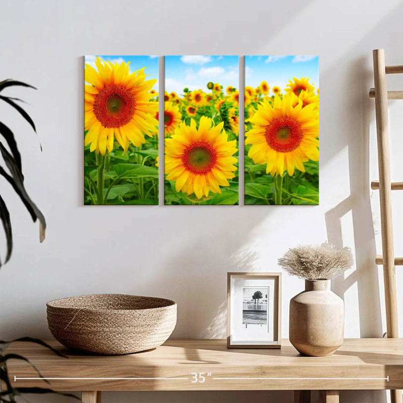 Champ de tournesols Alvord, H 24 po x l 38 po