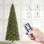 Sapin de Noël vert Aldred Radiant Evergreen-1684586857
