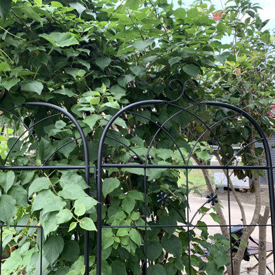 Treillis de jardin en métal de 20 po de largeur, paquet de 2, construction robuste, convient aux haricots, aux pois, aux concombres, aux plantes de maison à treillis de patio ou de jardin à installation rapide et aux vignes grimpantes, structure, 71 po de hauteur, supporte les raisins