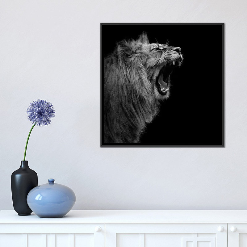 «Lion I», reproduction de photo sur toile, H 18 po x l 18 po x P 1,5 po, Toile avec cadre noir, Pas de tapis