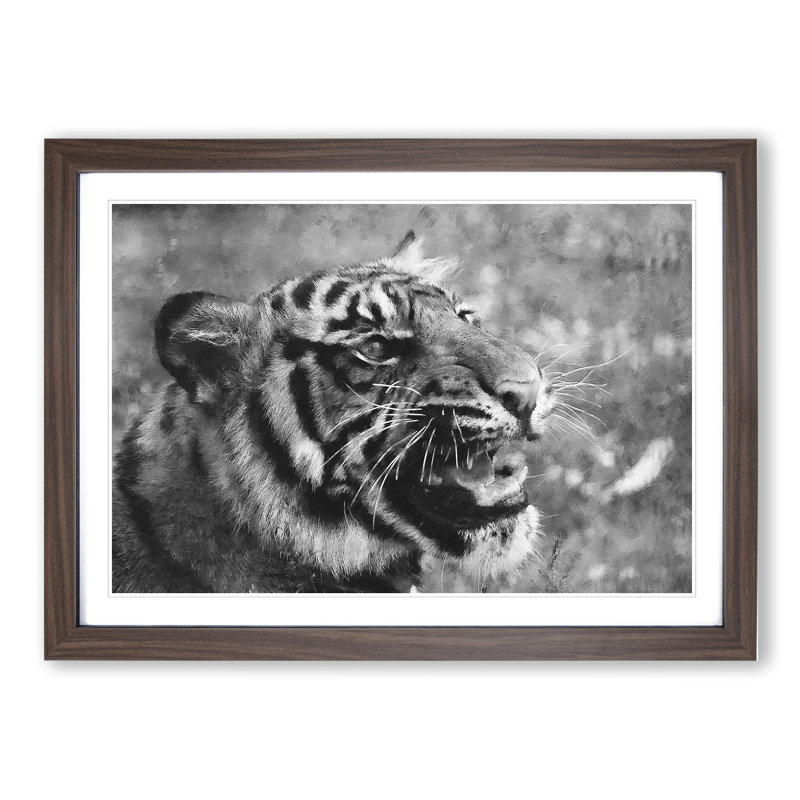 Tiger Vol.4 - Picture Frame Graphic Art, 27cm H x 36cm W x 2cm D, Walnut