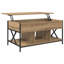 Lift Top Coffee Table with Storage-1141209396