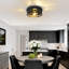 11 po Plafonnier encastré noir 2 lumières Farmhouse avec capuchon rotatif (paquet de 2)-384979761-384979762