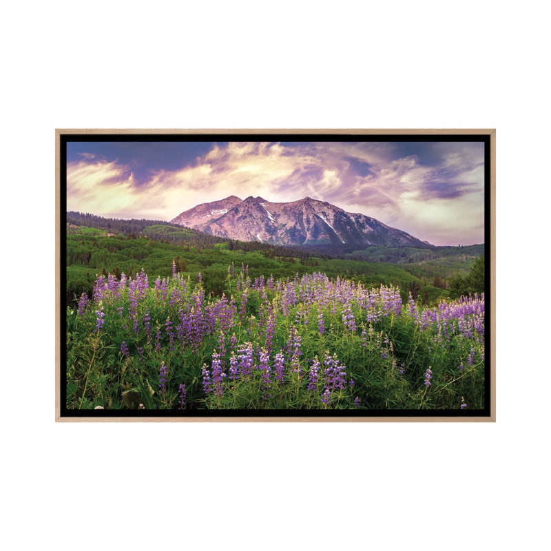 Colorado Wildflowers Summer Landscape - Kebler Pass Lupine Flowers 1 Piece Wall Art on Canvas, Natural Wood