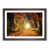 Walnut Framed selected