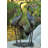 26.75'' H x 13.75'' W Cast Aluminum Rosalez Statue