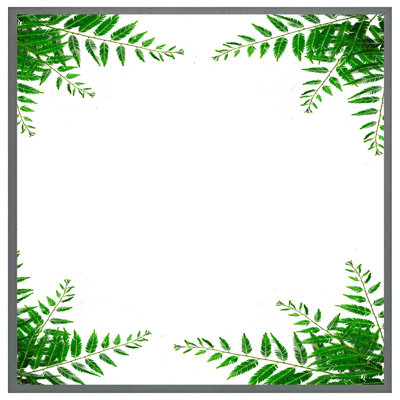 Bulpitt Green Botanicals - Single Picture Frame Print
