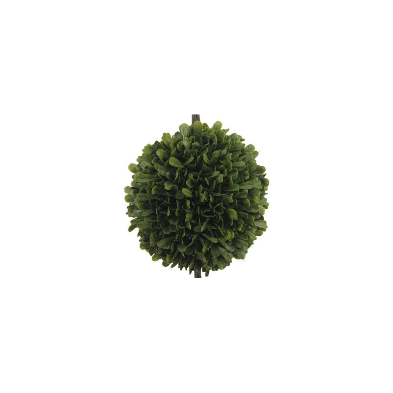 24" Artificial Boxwood Plant in Topiary Pot
