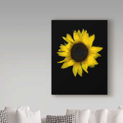 Dosta «Sunflower 1», impression sur toile tendue