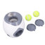 Mini-lance-balles pour chien Agility Équipement Interactives