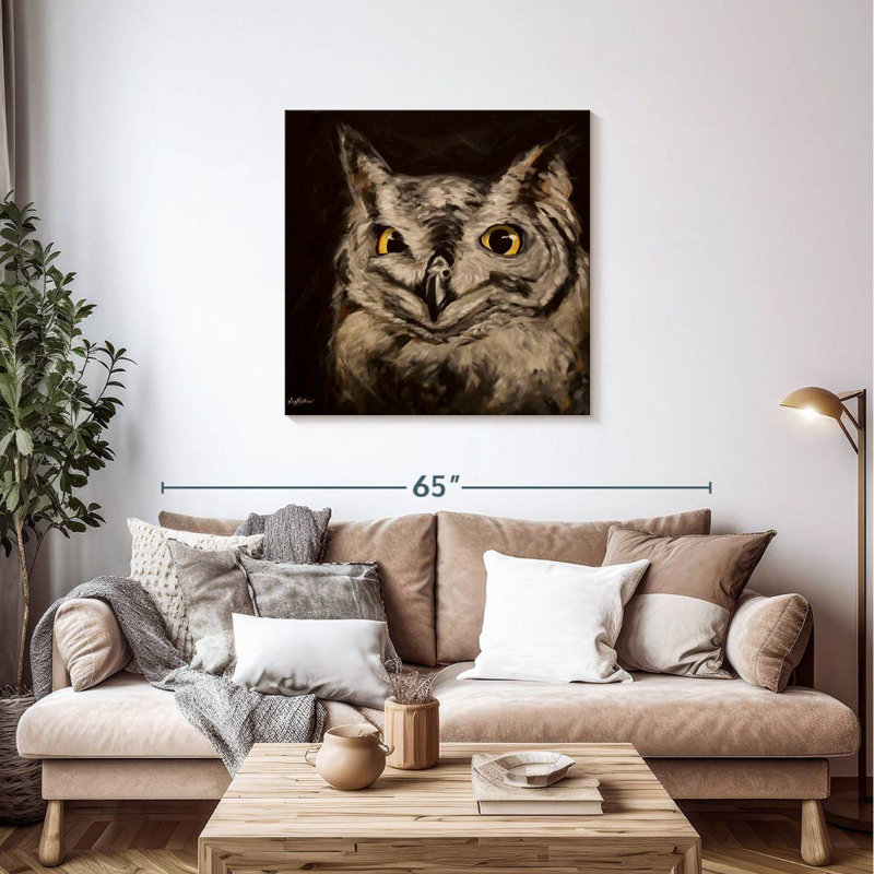 Brampt Black Background Owl