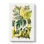 Various Ivy Leaves by Shirley Hibberd - Wrapped Canvas Painting-55301413