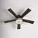 52"W Litza 5-Blade Standard Ceiling Fan with Art Deco Inspired Shade
