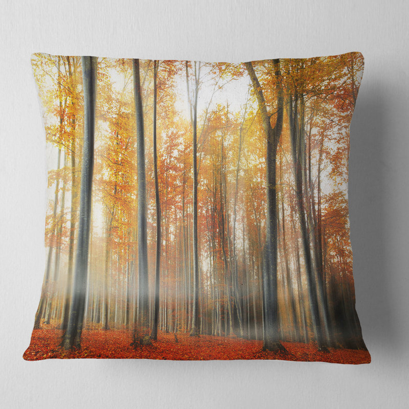 Coussin Leaves in Fall Landscape, 16 po x 1 po, Coussin décoratif