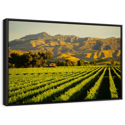 Nature "Art mural Blenheim Vineyard"