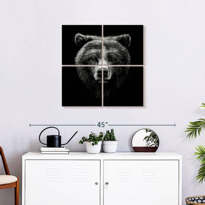 Grizzly Bear Face