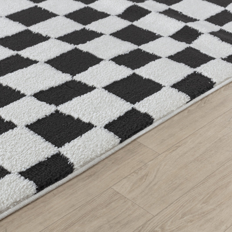 Blannie Chequered Machine Tufted Area Rug, Rectangle 120 x 170 cm