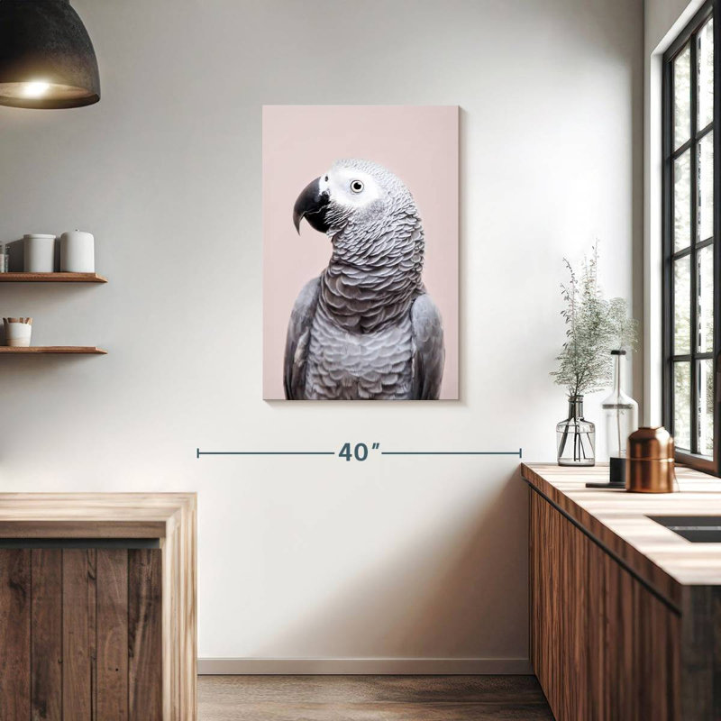 Brampt African Grey, 36" H x 24" W