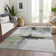 Segin Area Rug