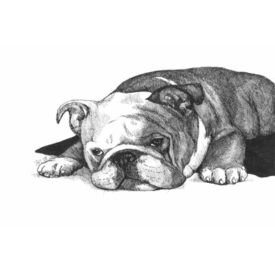 Gracie The Bulldog by Beth Thomas - Wrapped Canvas Art Prints