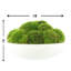 5" Artificial Moss Plant in Planter-729850858