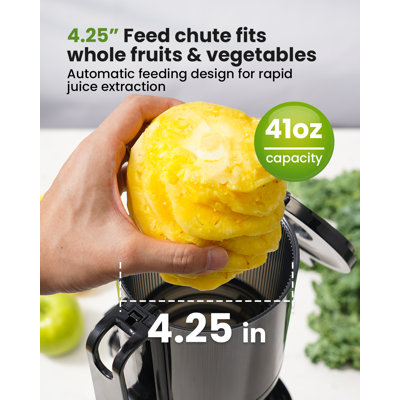 Extracteur de jus à pressage à froid GDOR, extracteur à mastication compact avec grande goulotte d'alimentation de 4,25 po, extracteur de jus à pressage à froid peu encombrant, presse-agrumes lent facile à nettoyer, brosse incluse, sans BPA, argent.