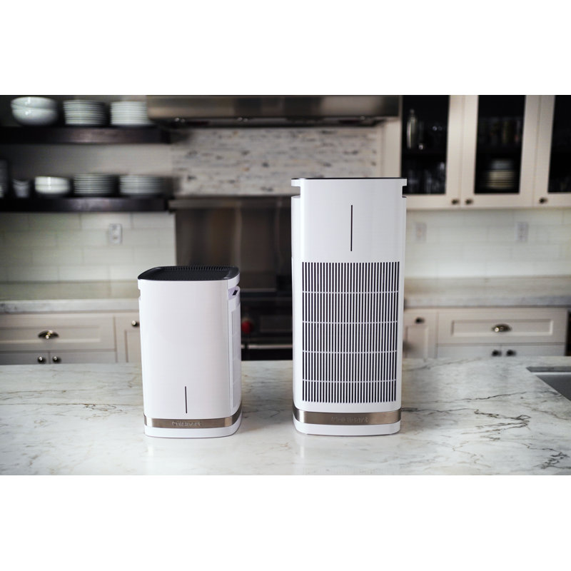 White and Gray Countertop Air Purifier with HEPA Filter