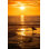 Surfing at Sunset Walking - Photographie sur toile tendue