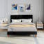 Nakasi Upholstered Velvet Bed-1745315606-1847558632