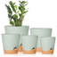 Pots à plantes avec trou de drainage-311241076