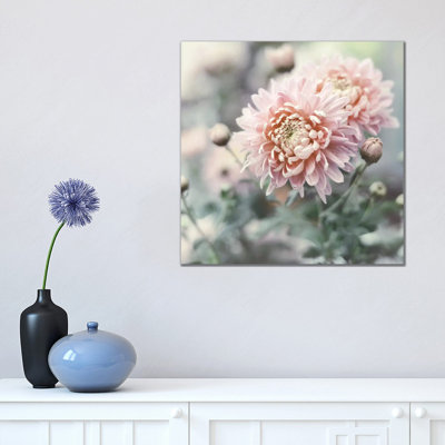 Muted Daisy by Sarah Gardner - Print on Canvas