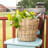 Round Planter With Plastic Insert