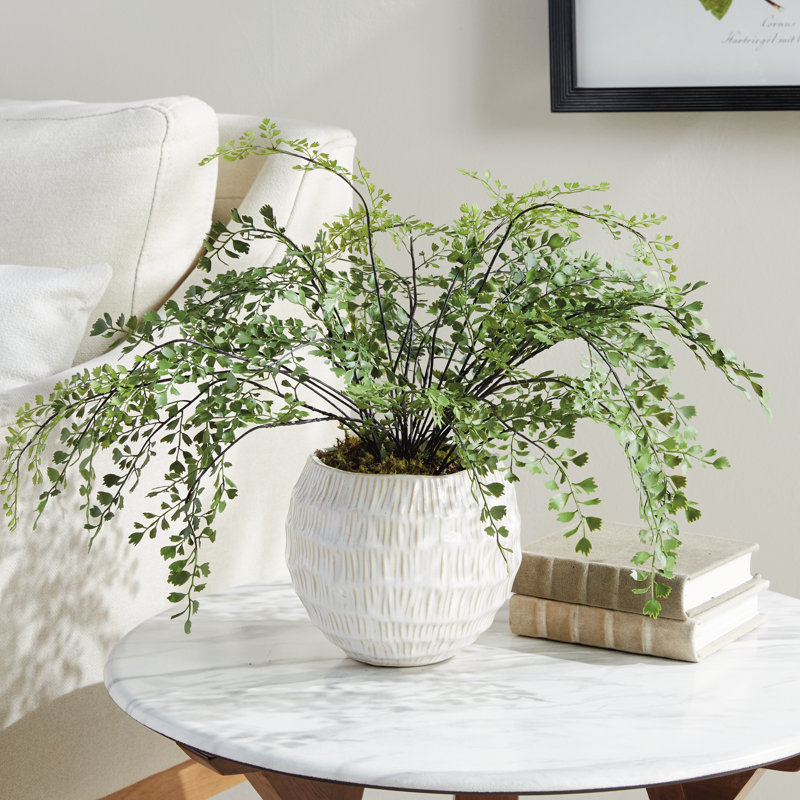VISTA POT, White