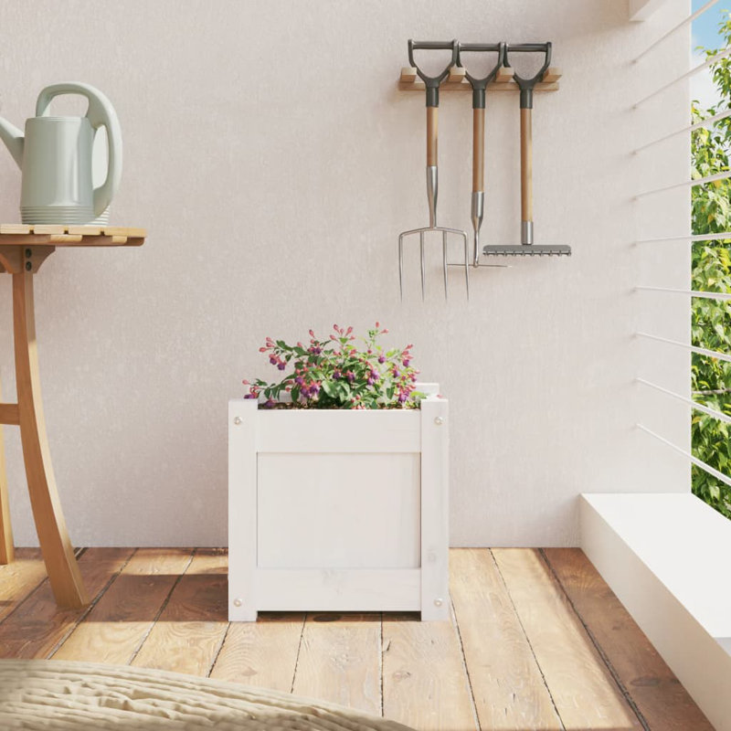 Ander Planter, White Pine, 1