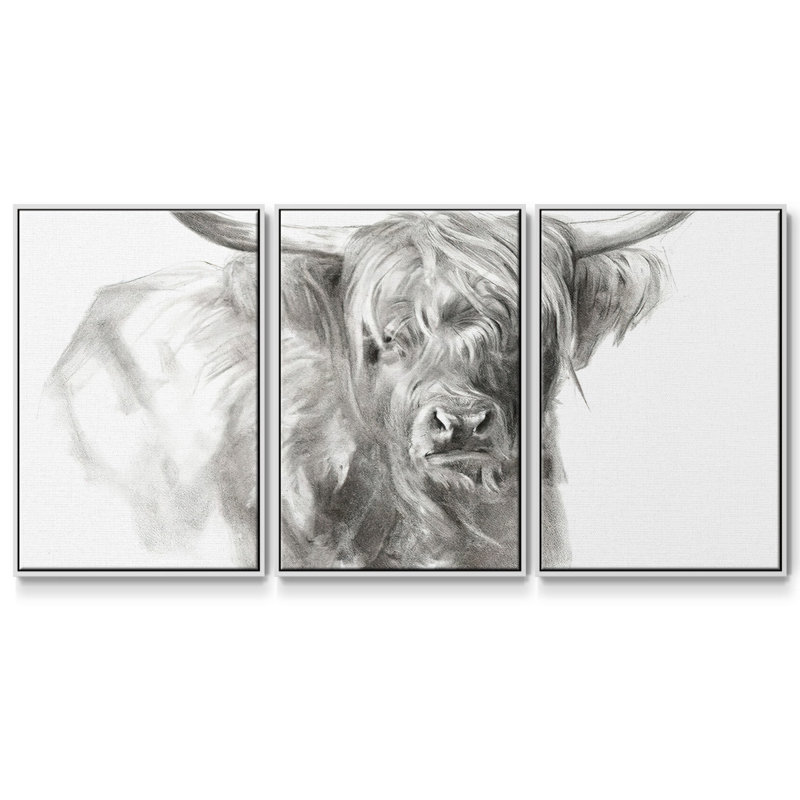 3 bovins Softland Highland Soft Focus, Cadre blanc, H 36 po x l 75 po x P 2 po