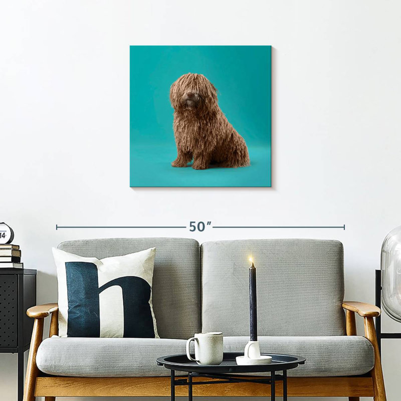 Crowle Komondor Dog, H 24 po x l 24 po