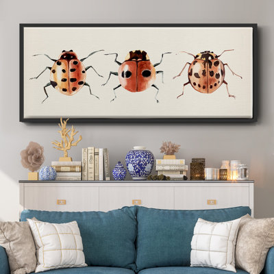 Coccinelle