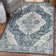 Anquan Oriental Indoor Rug