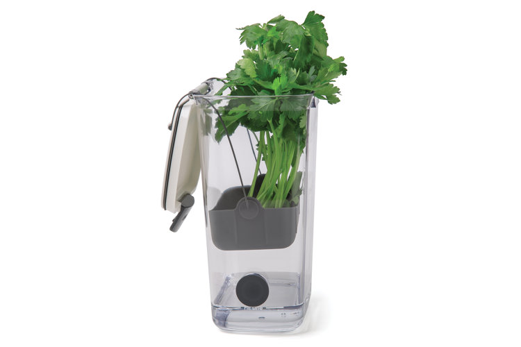 Coriander Containers For Refrigerator, Herb Keeper, Herb Container