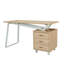 Bureau d'écriture Regeani