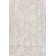 Chatteris Oriental Indoor Rug
